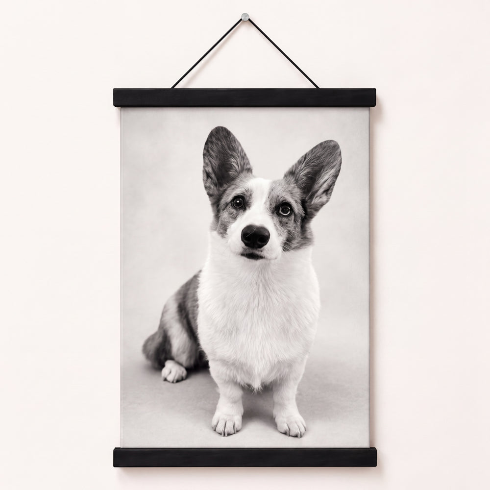 Studio No.1 Canvas and Wall Mount