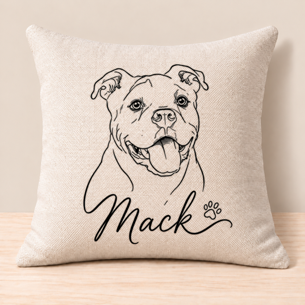 Drawn Together Collection Accent Pillow