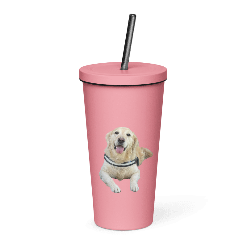 Custom Personalized Insulated Tumbler With A Straw