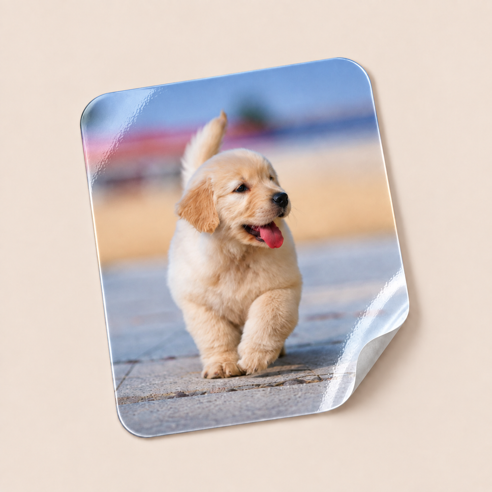 Premium Vinyl 3"x4" Photo Sticker